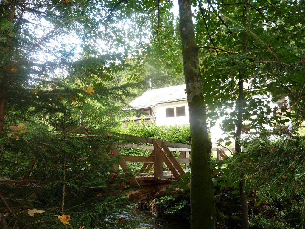 Apartment Schwarzwald Total Freudenstadt Phòng bức ảnh